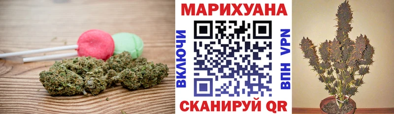 где продают наркотики  Электрогорск  MEGA маркетплейс  Еда ТГК конопля 