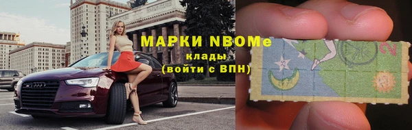 ГАЛЛЮЦИНОГЕННЫЕ ГРИБЫ Аркадак