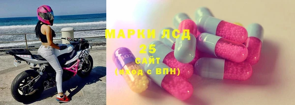 ГАЛЛЮЦИНОГЕННЫЕ ГРИБЫ Аркадак