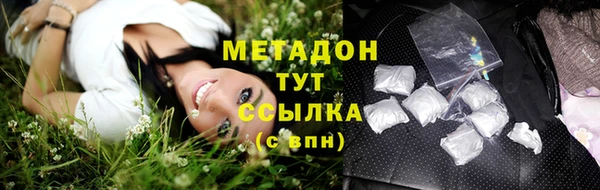 ГАЛЛЮЦИНОГЕННЫЕ ГРИБЫ Аркадак