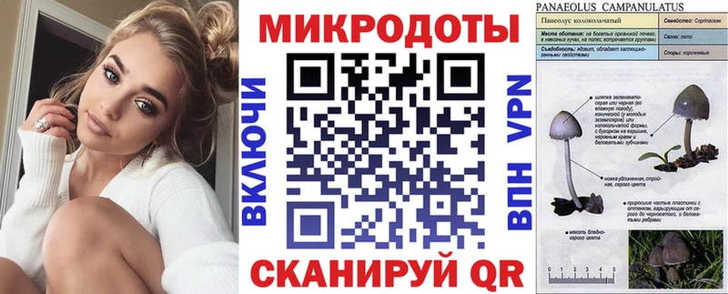 Псилоцибиновые грибы Cubensis Электрогорск