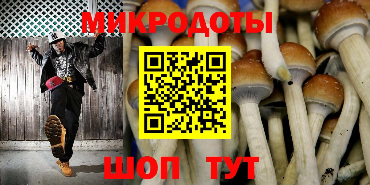 Галлюциногенные грибы ЛСД  Псилоцибиновые грибы Psilocybe  Электрогорск  Вход с VPN 